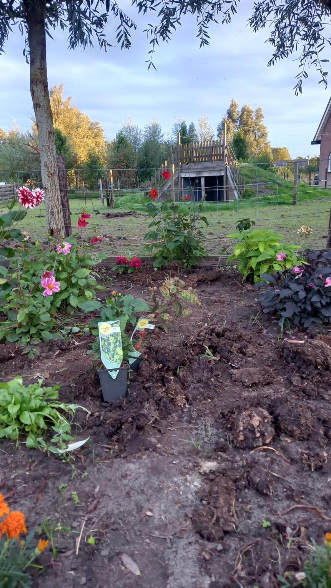 Bed and Breakfast Bed En Brochje De Oase Sweagerbosk Exterior foto